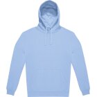 lotus blue